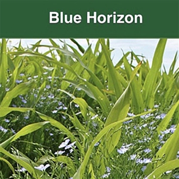 Blue Horizon 